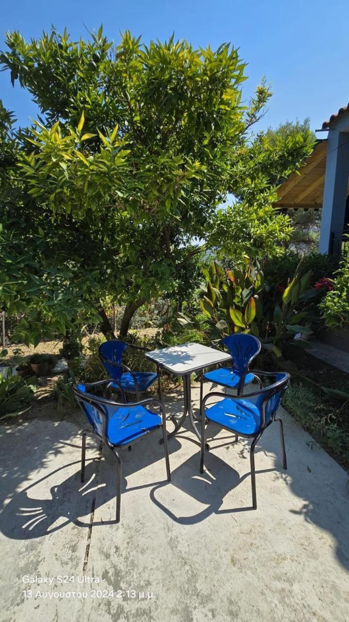 Rama Guest House Берат Экстерьер фото